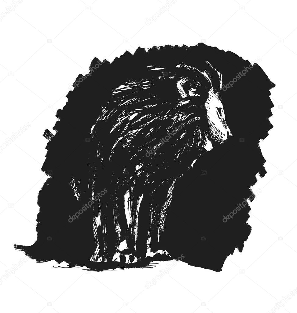 Hand sketch lion on a black background