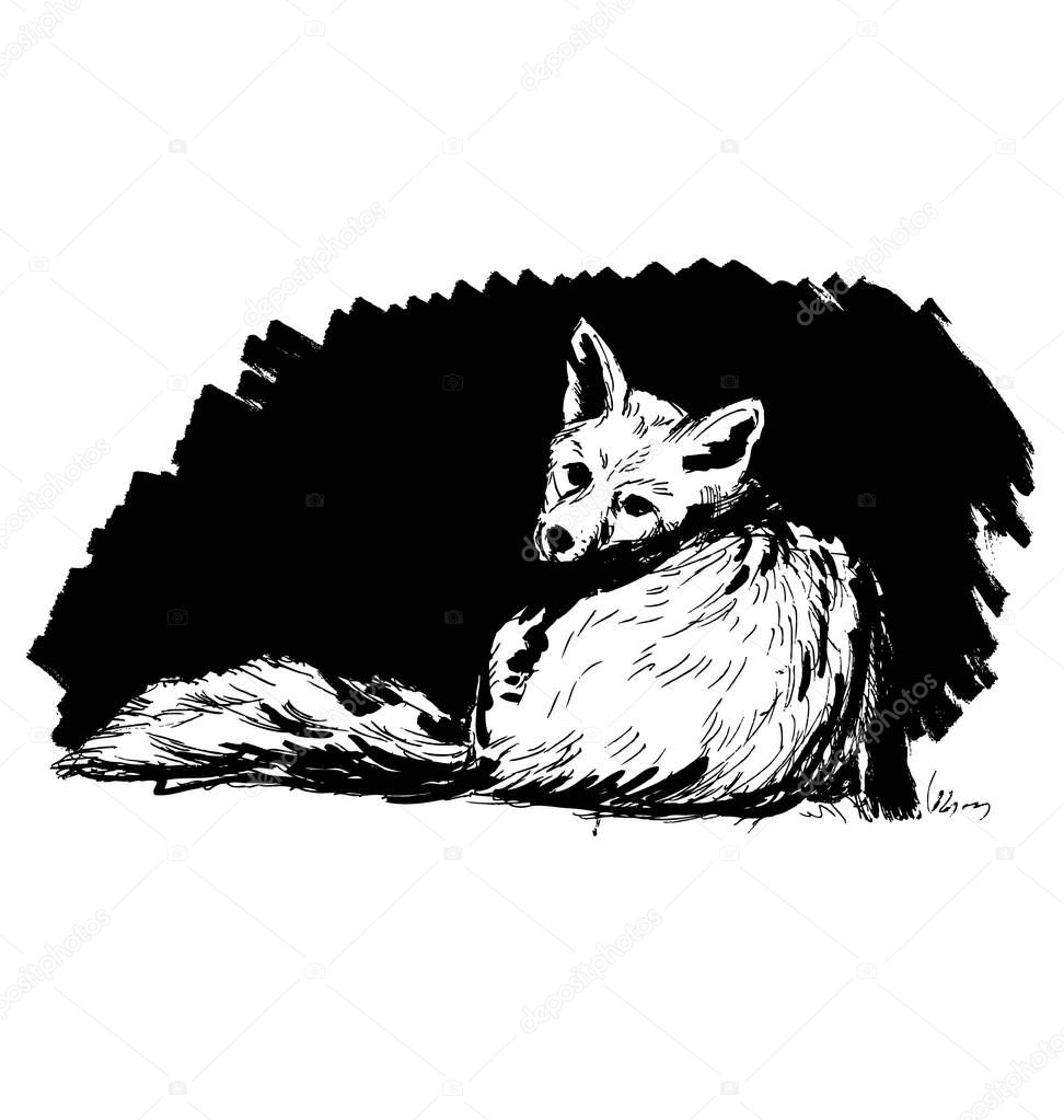 Hand sketch Fox on a black background