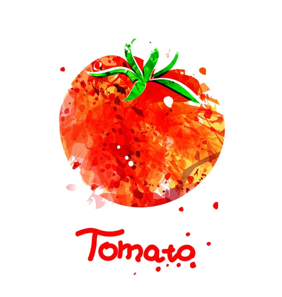 Ilustración en acuarela de Tomate — Vector de stock