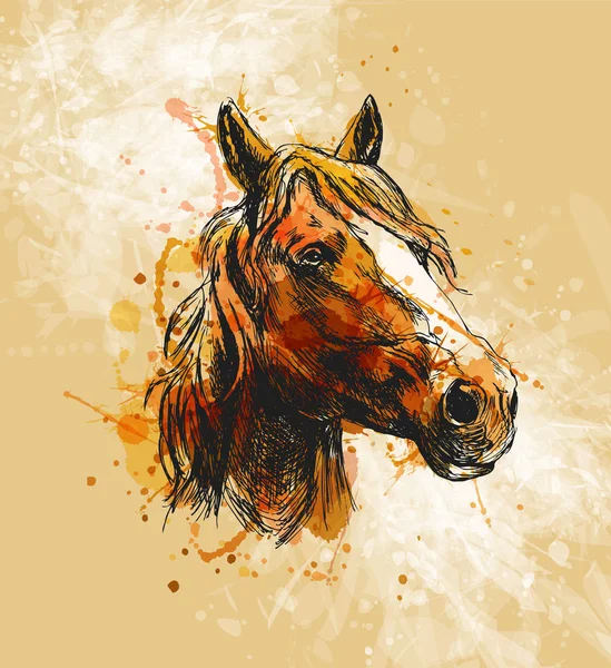 Cabeza de caballo bosquejo de mano coloreada — Vector de stock