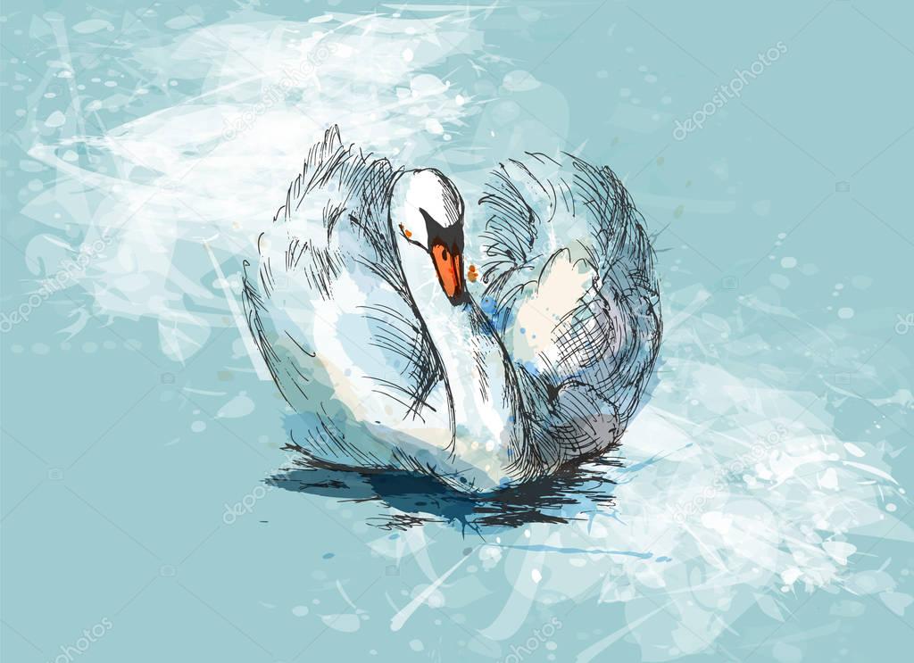 Colored hand sketch floating swan