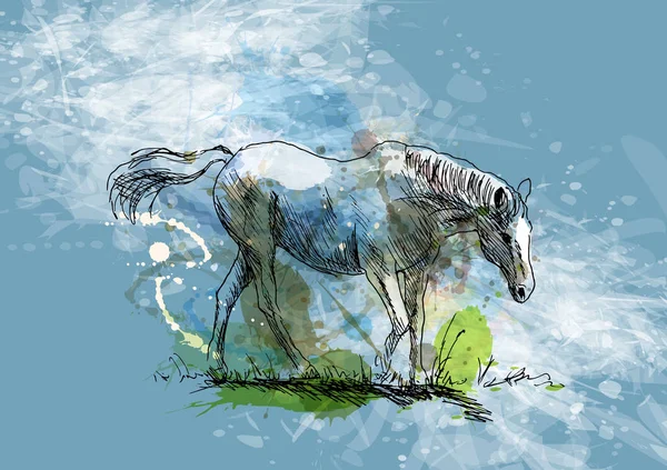 Croquis à la main coloré d'un cheval blanc sur fond grunge — Image vectorielle