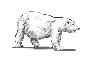 Bir kutup ayısı vektör hat kroki