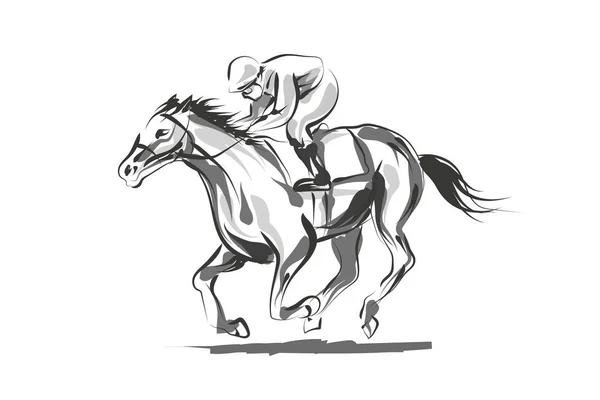 Vector line sketch rider with a horse — Stock Vector