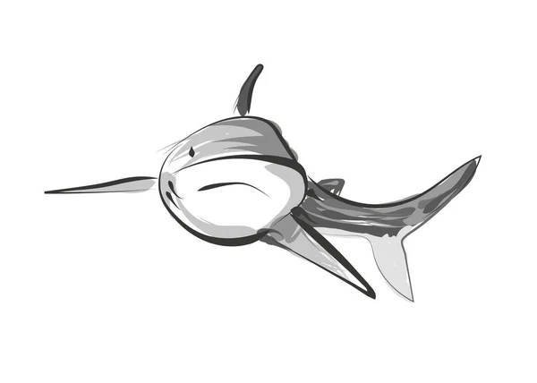 矢量线素描鲨鱼 — 图库矢量图片