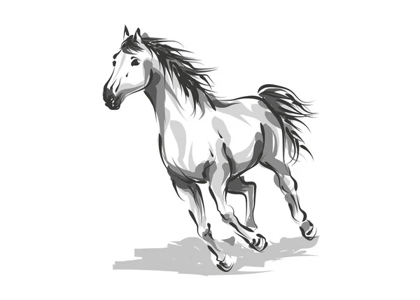 Cavallo da disegno digitale vettoriale — Vettoriale Stock