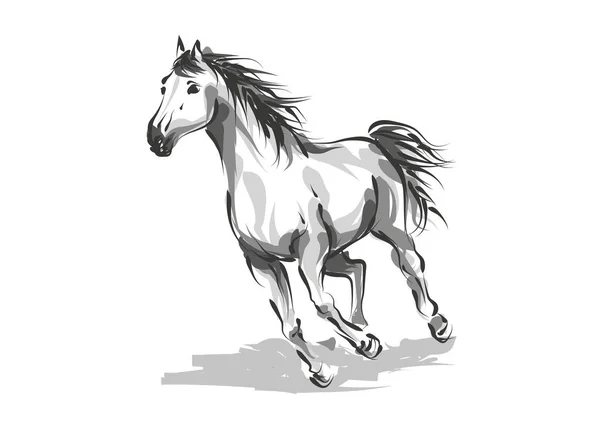 Vector digital drawing horse — Stock Vector