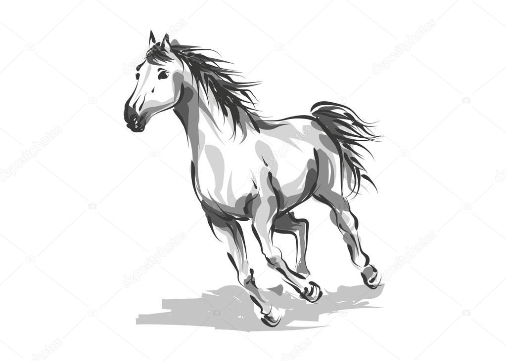 Vector digital drawing horse