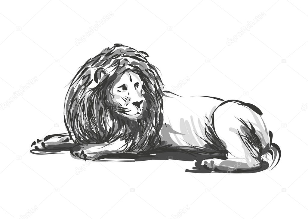 Vector sketch of a lion