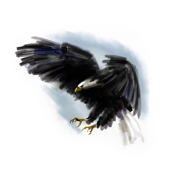 Цифровая иллюстрация летающего орла — стоковое фото
