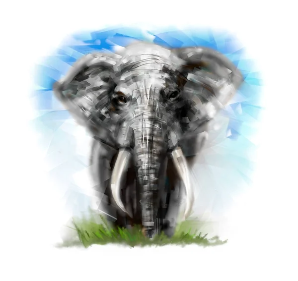 Elefante de pintura digital — Fotografia de Stock