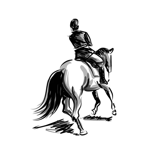 Vector Ink Sketch Rider Horseback — Stock Vector