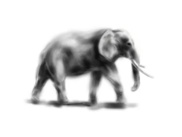 Elefante da disegno a mano — Foto Stock