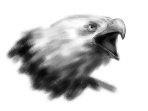 Mão desenho cabeça de águia — Fotografia de Stock