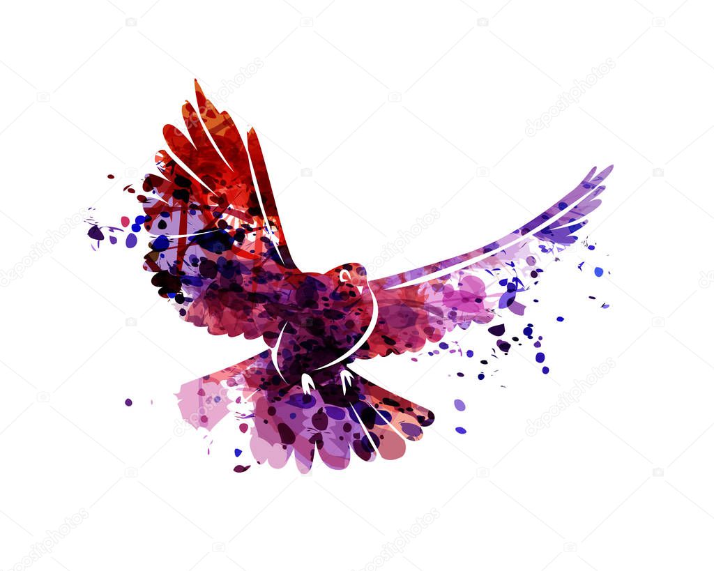 Vector watercolor silhouette dove