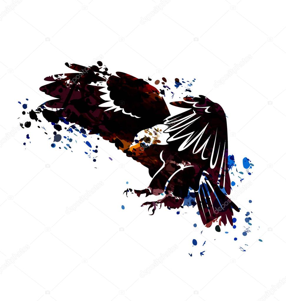 Vector watercolor silhouette of flying eagle