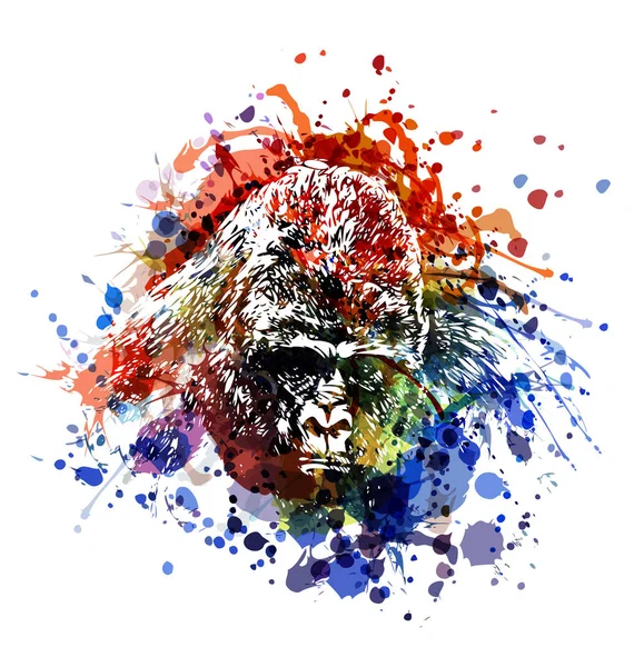 Farbige Illustration eines Gorillakopfes — Stockvektor