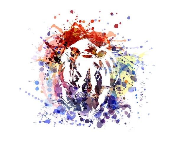 Illustration couleur rhinocéros — Image vectorielle