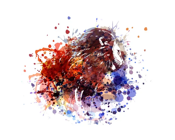 Vektor Farbe Illustration Löwe — Stockvektor