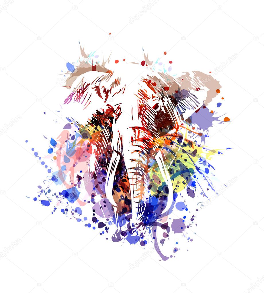 Color illustration elephant
