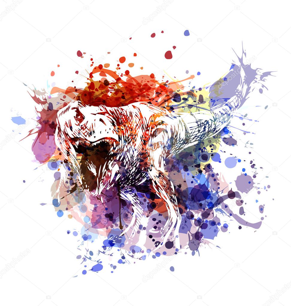 Color illustration tyrannosaurus