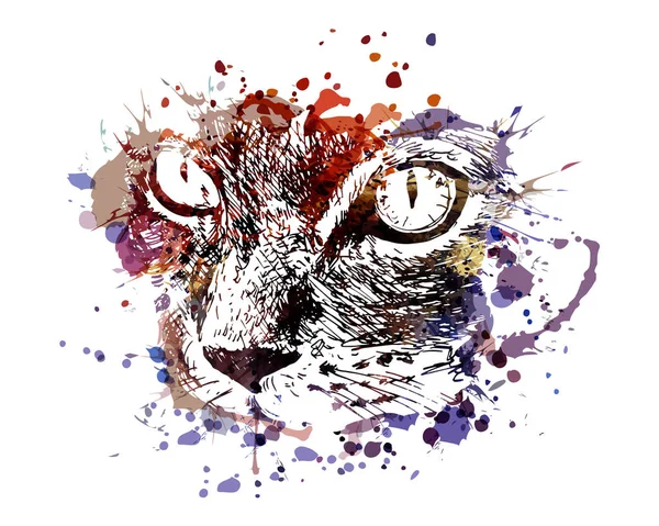 Векторна кольорова ілюстрація обличчя кота — стоковий вектор