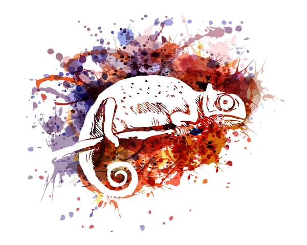 Illustration vectorielle en couleur du caméléon — Image vectorielle