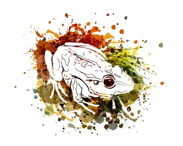 Vektorillustration eines Frosches — Stockvektor