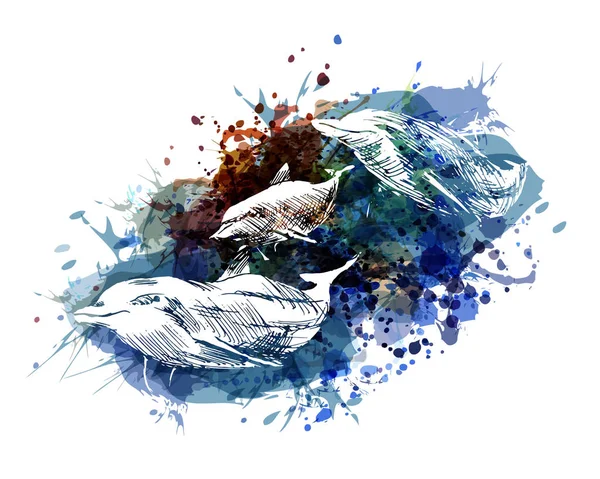 Vektorové ilustrace barevné delfínů — Stockový vektor