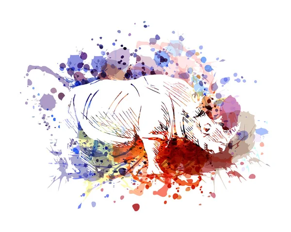 Ilustración a color vectorial de rinocerontes — Vector de stock