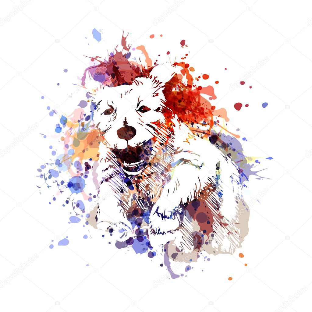 Vector color illustration of a running dog
