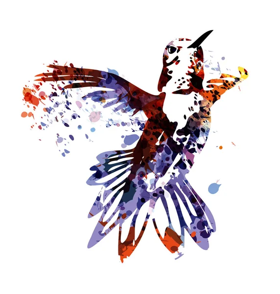 Kolorowa Ilustracja Kolibra Ilustracja Wektora — Wektor stockowy