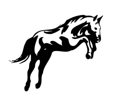 Bir atın vektör illüstrasyonu