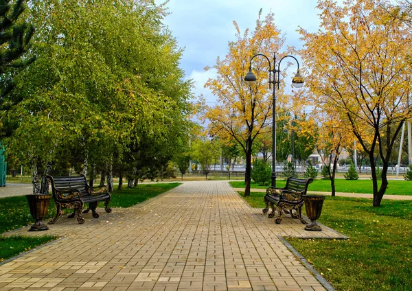 The path in the park which is laid out by a stone tile, in the f