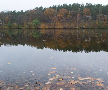 Sonbahar ormanında düşen yapraklarla dolu göl.