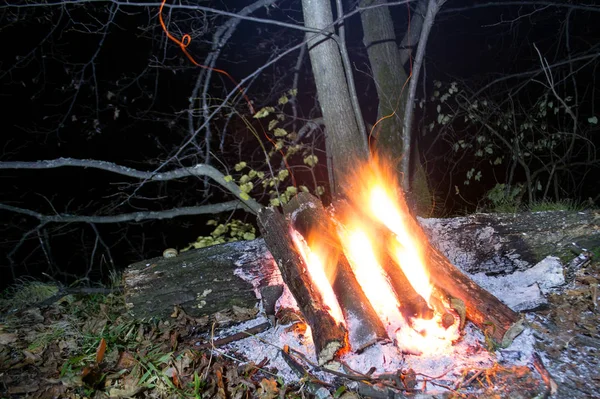 夜林篝火熊熊燃烧 — 图库照片