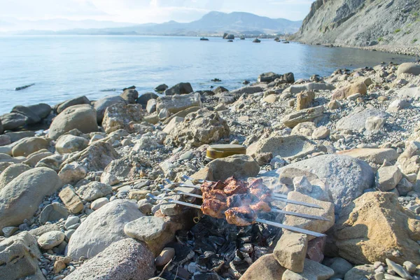 Meat skewers on the rocky coast by the sea. Stones and mountains around. The sky is in a haze.Traveler food