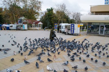  Yalnız bir kadın meydandaki büyük bir güvercin sürüsünü besler. Gri güvercinler kapüşonlu kadını kuşattı..