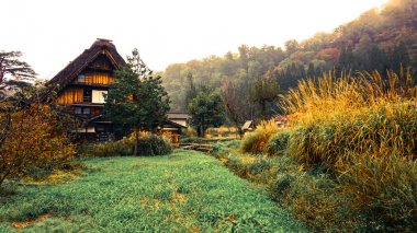 Shirakawa Japonya köyde git