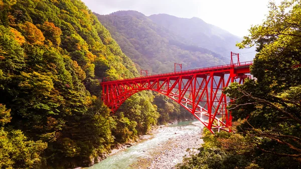 Japanische rote Brücke im Wald — Stockfoto