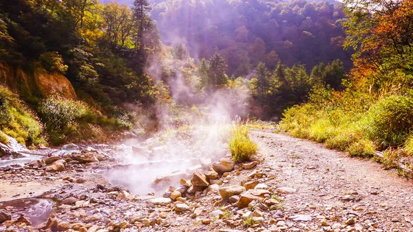 hot spring water in autumn forest