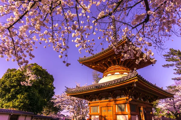 Kitain templet i våren på Kawagoe staden saitama i Japan — Stockfoto