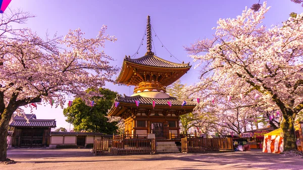 Китайский храм весной в Kawagoe города saitama в Японии Лицензионные Стоковые Изображения
