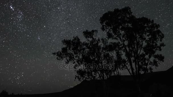 Cielo nocturno de estrellas y Vía Láctea — Vídeo de stock