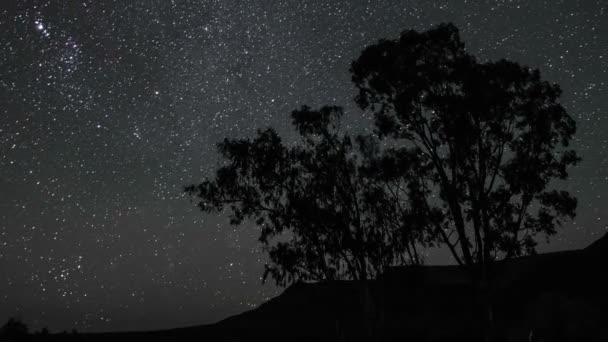 Cielo nocturno de estrellas y Vía Láctea — Vídeo de stock