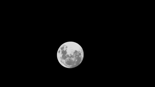 Luna nel cielo notturno — Video Stock