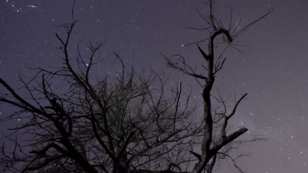 Ночное небо звезды и молочный путь — стоковое видео