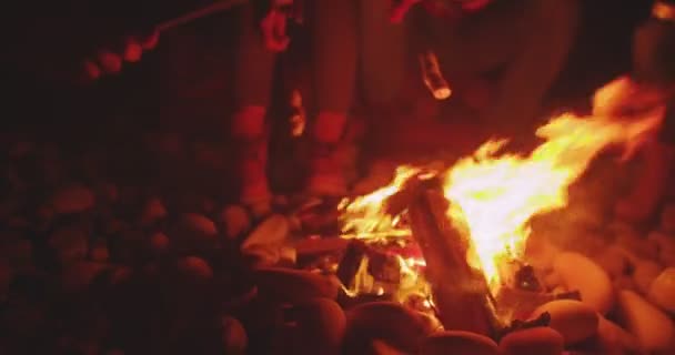 Vänner rostning marshmallows — Stockvideo