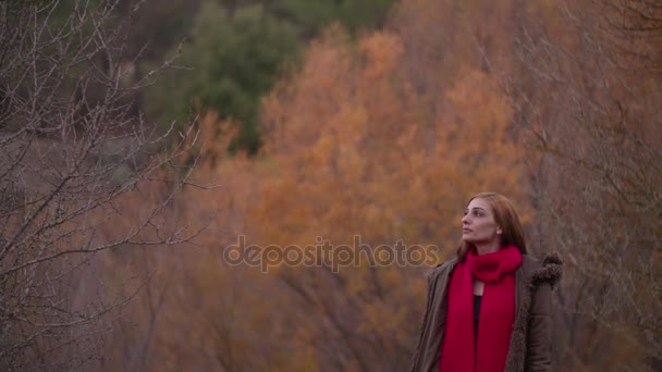 Femme aux cheveux roux en automne paysage — Video