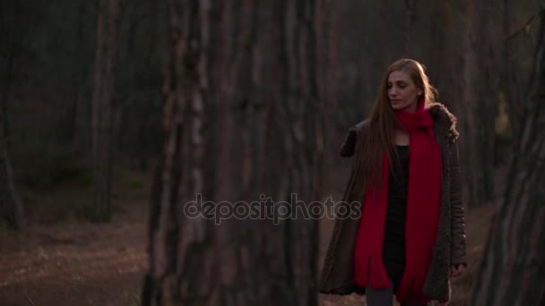 Jovem mulher na trilha da natureza — Vídeo de Stock